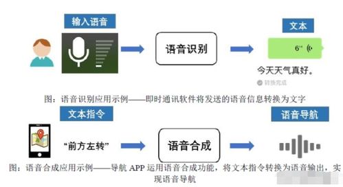 人工智能上游龍頭 語(yǔ)音基礎(chǔ)數(shù)據(jù)國(guó)內(nèi)第一，服務(wù)微軟的隱形冠軍